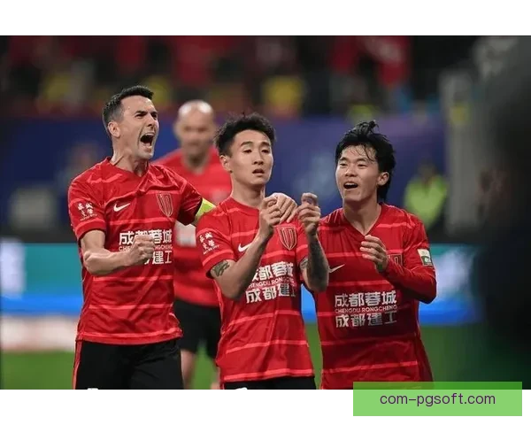 中超最新引援：成都蓉城成功签约澳洲国家队主力球员